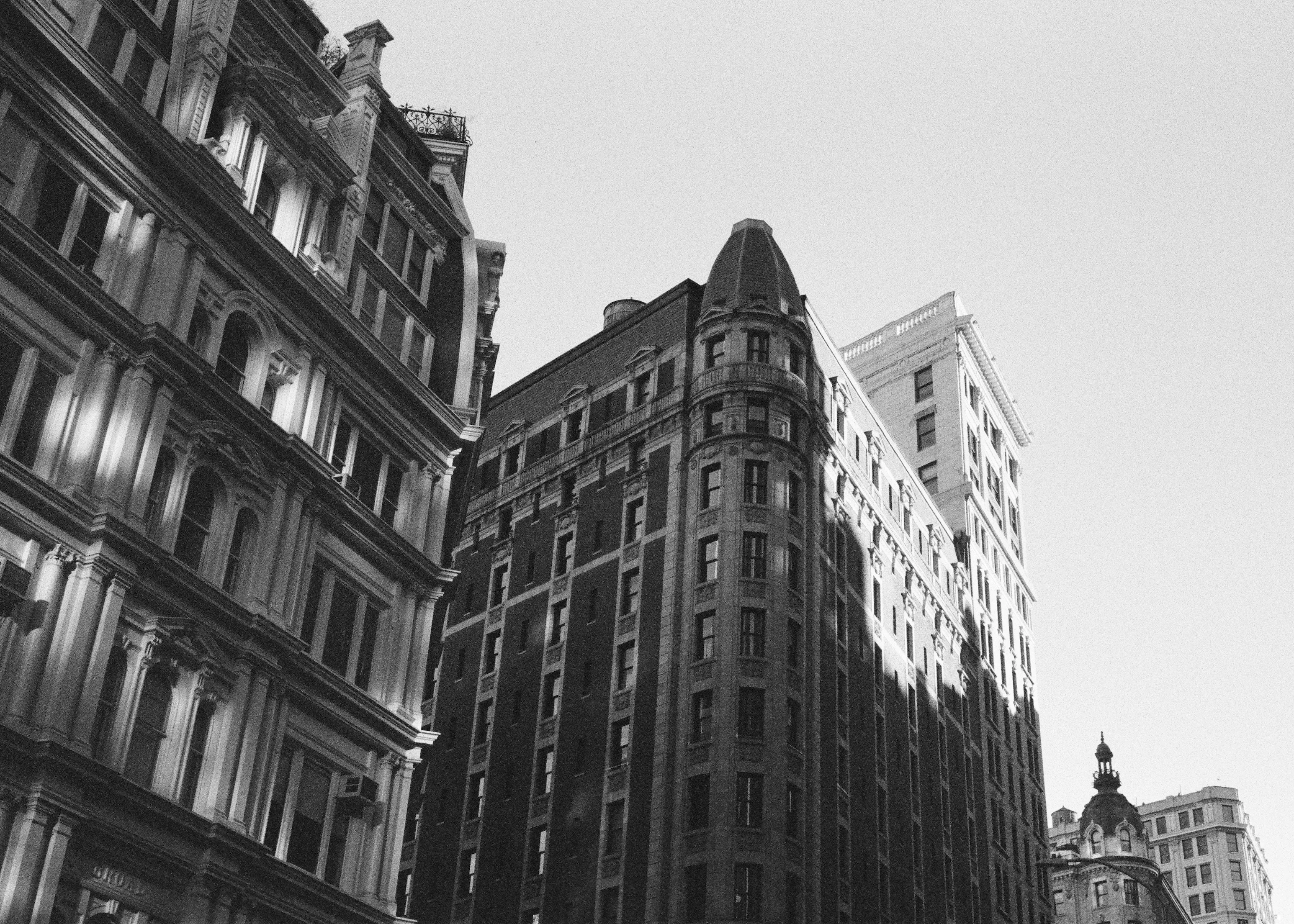 Small Section of the Skyline